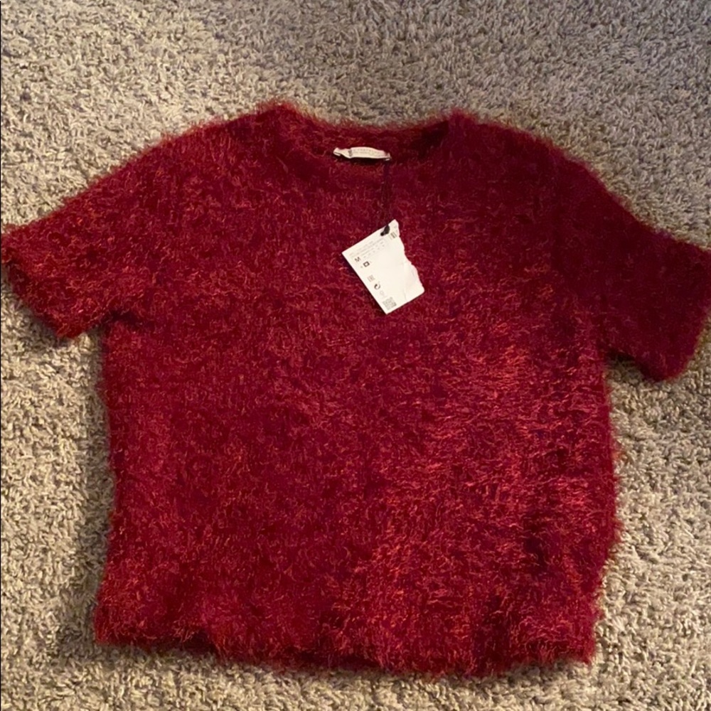ZARA Maroon Fuzzy Cropped Short-Sleeve Top